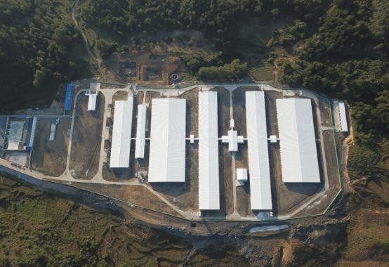 τελευταία εταιρεία περί Αγρόκτημα 500 θηλυκών χοίρων στις Φιλιππίνες