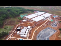 Παχαίνοντας κλουβί βρεφικών σταθμών χοιριδίων μανδρών φρακτών επιτροπής PVC με τη λήξη του τροφοδότη